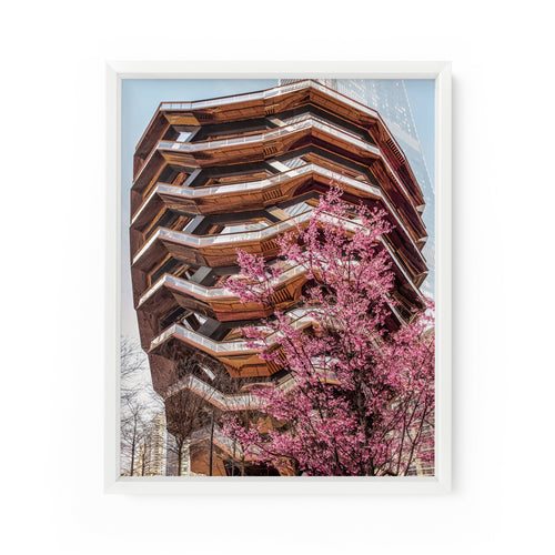 Hudson Yards Cherry Blossoms | Fine Art Photography Print