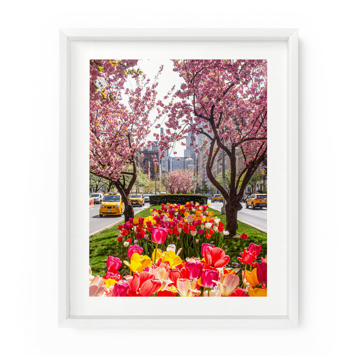 Park Avenue Spring Blooms | Fine Art Photography Print