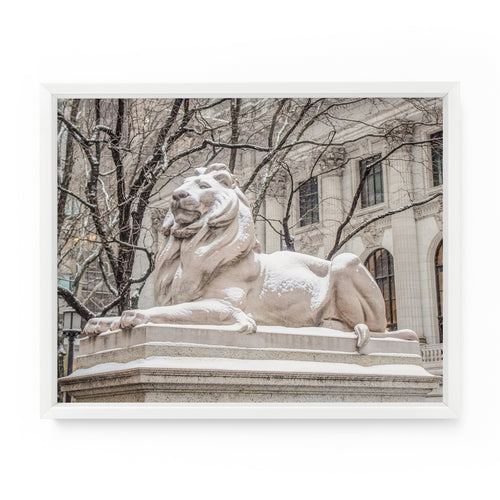 Snowy New York Public Library Lion (Patience) | Fine Art Photography Print
