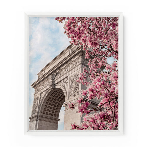 Washington Square Arch Magnolias | Fine Art Photography Print