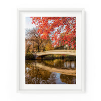 Bow Bridge Autumn Leaves (Central Park) | Fine Art Photography Print