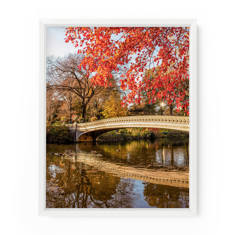 Bow Bridge Autumn Leaves (Central Park) | Fine Art Photography Print