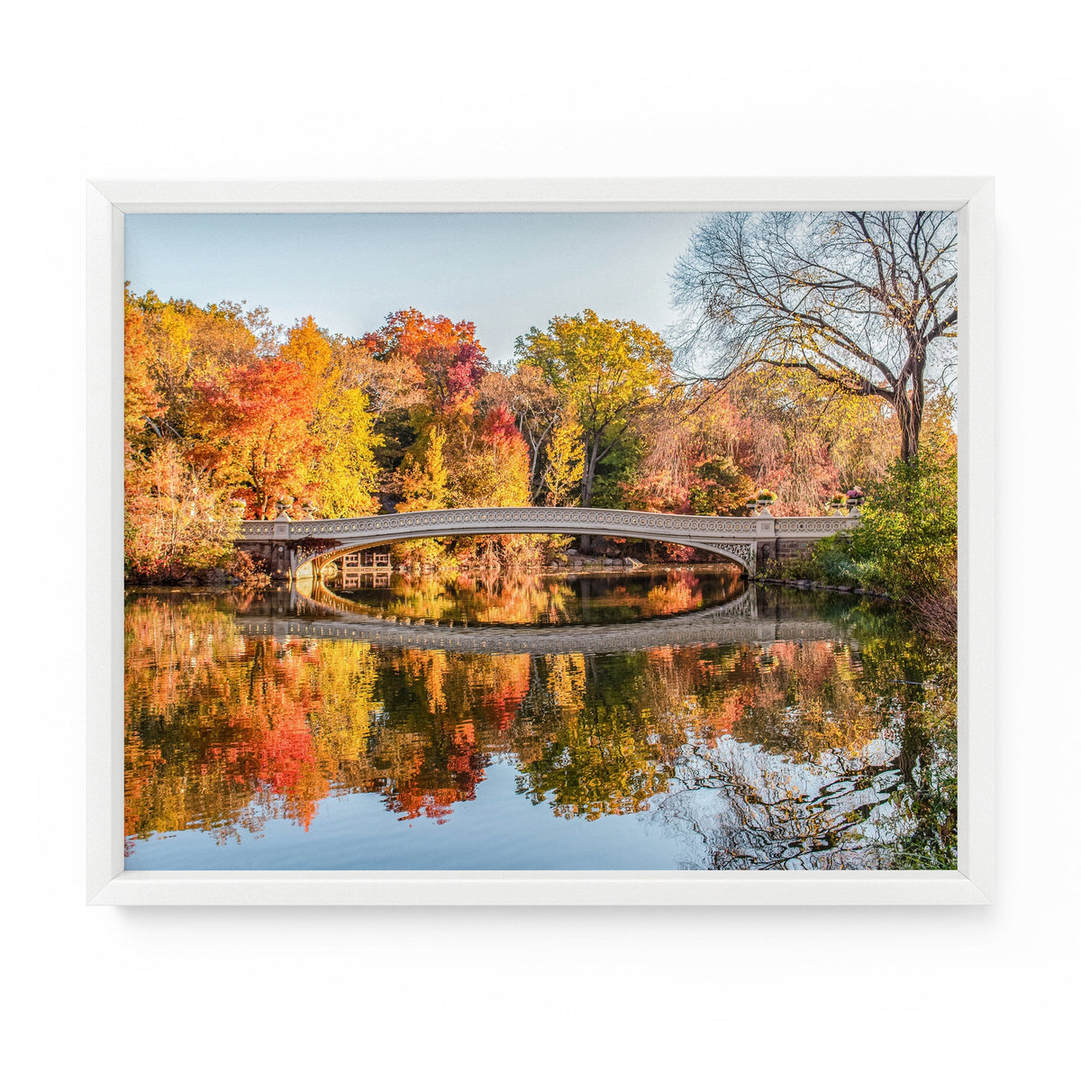 NYC Art Photography Print. Fall foliage surrounds Bow Bridge during autumn in Central Park