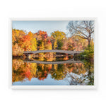 Bow Bridge Autumn Reflection (Central Park) | Fine Art Photography Print