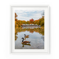 Central Park Boathouse Autumn Geese | Fine Art Photography Print