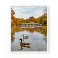 Central Park Boathouse Autumn Geese | Fine Art Photography Print