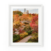 Central Park Fall Foliage (Gapstow Bridge) | Fine Art Photography Print
