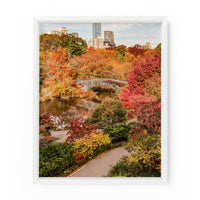 Central Park Fall Foliage (Gapstow Bridge) | Fine Art Photography Print