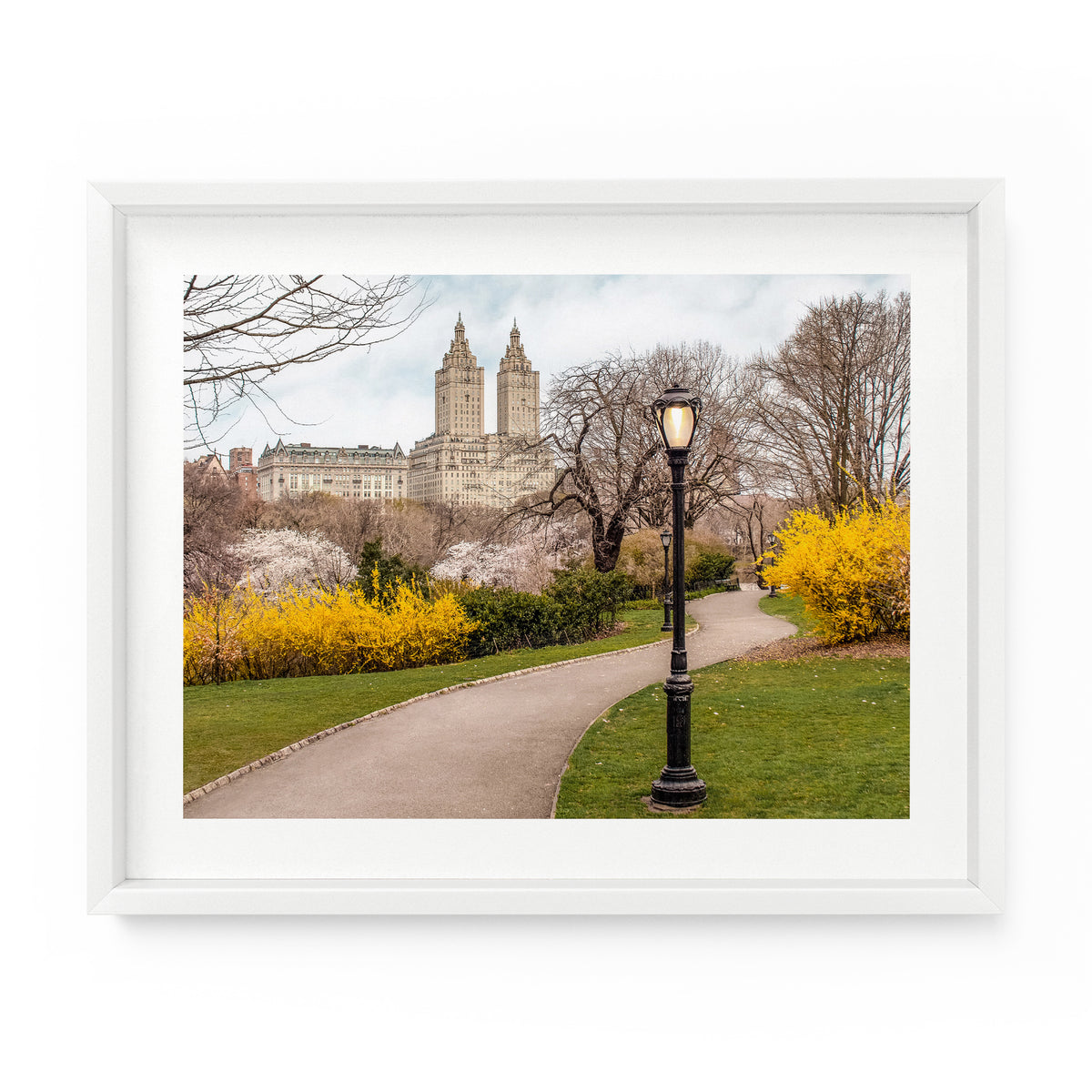 Central Park Forsythia Path | Fine Art Photography Print