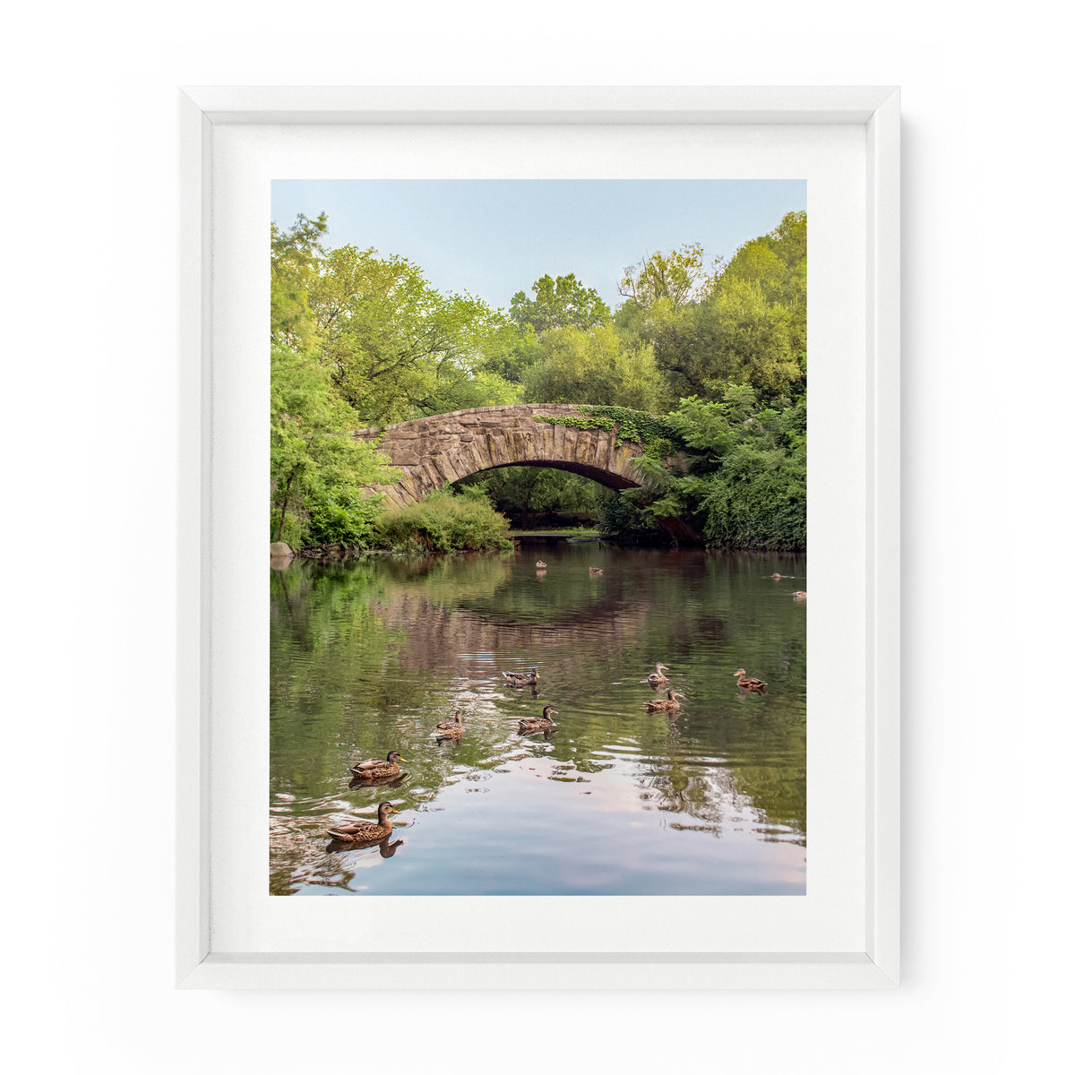 Central Park Gapstow Bridge Summer Reflection | Fine Art Photography Print