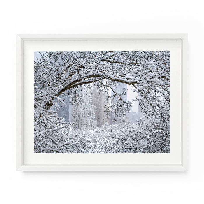 Central Park Winter Through the Trees | Fine Art Photography Print