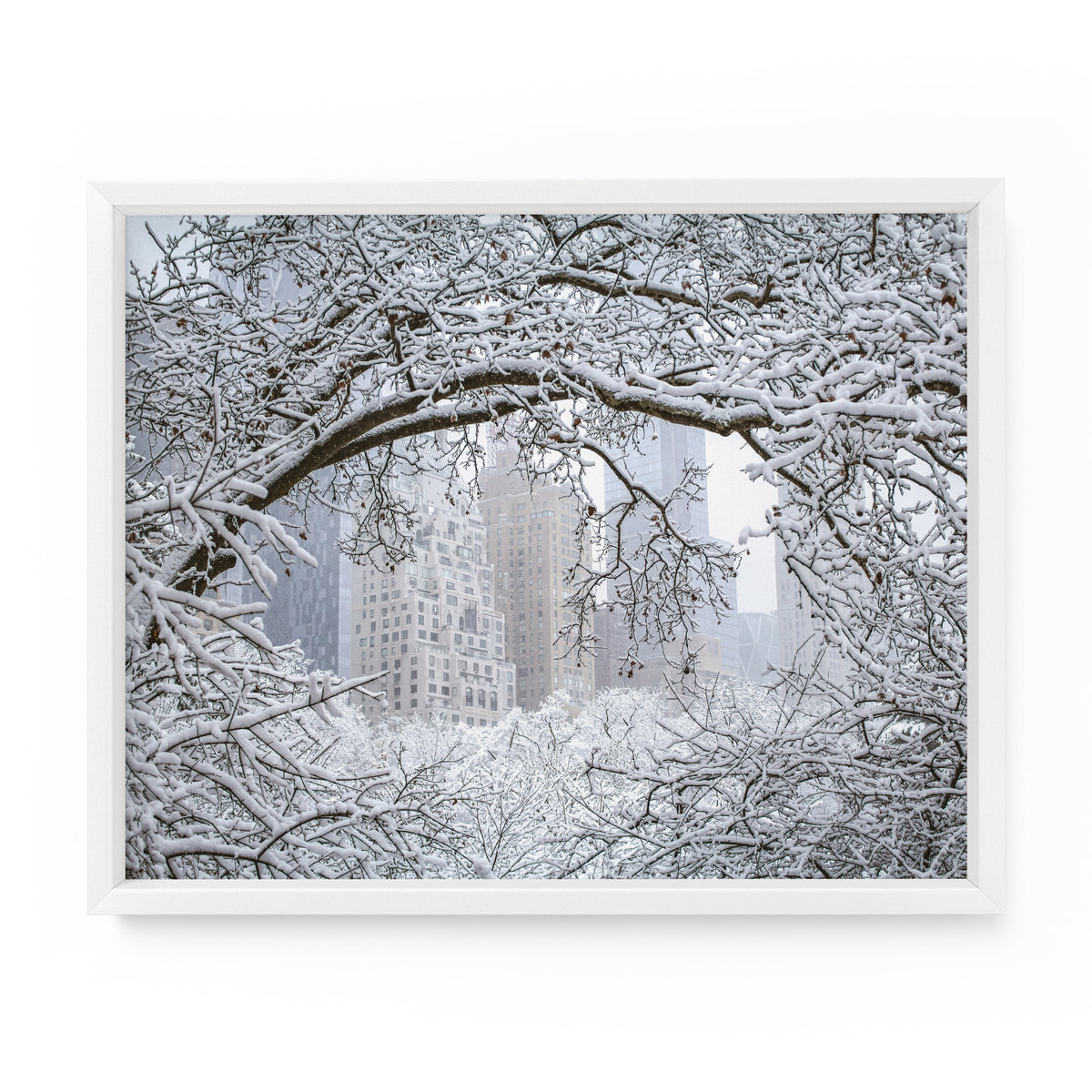 Central Park Winter Through the Trees | Fine Art Photography Print