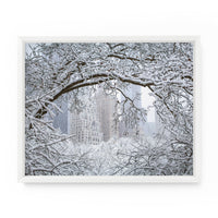 Central Park Winter Through the Trees | Fine Art Photography Print