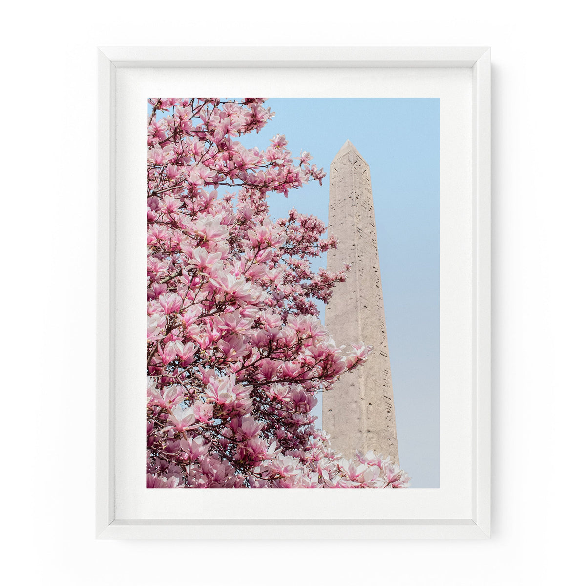 Cleopatra's Needle Magnolia Blossoms (Central Park) | Fine Art Photography Print