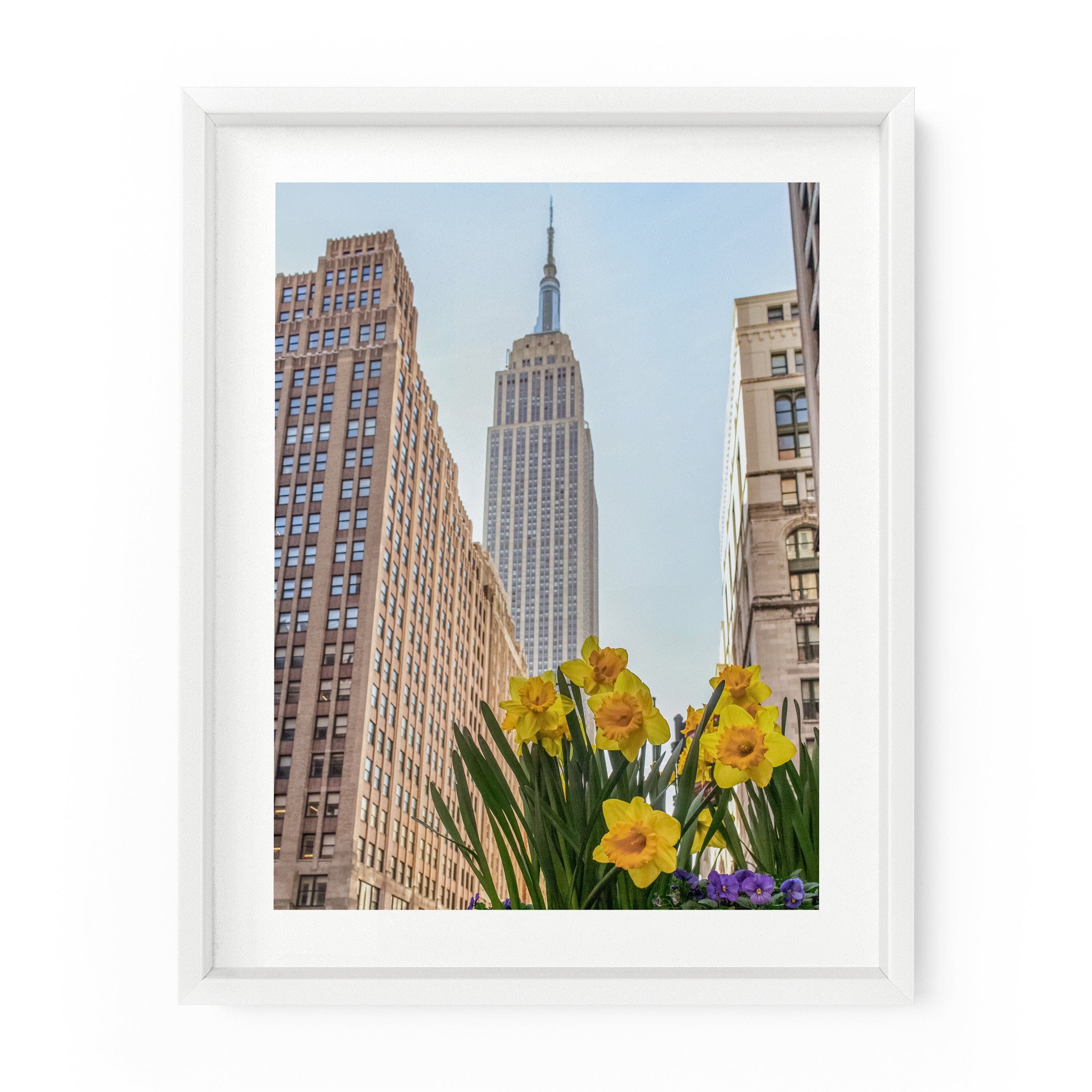 New York City Photography - Empire State Daffodils | Fine Art