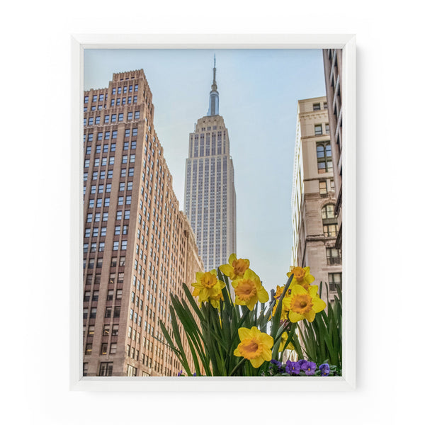 Empire State Daffodils | Fine Art Photography Print