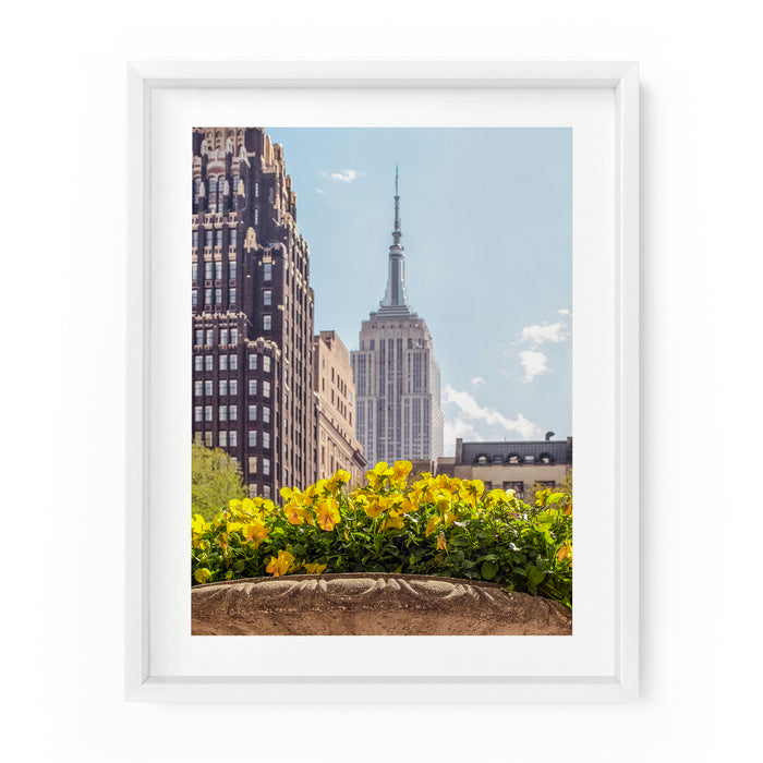 Empire State Flowers | Fine Art Photography Print