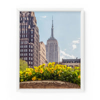 Empire State Flowers | Fine Art Photography Print