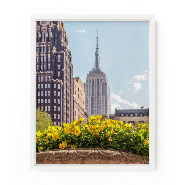 Empire State Flowers | Fine Art Photography Print