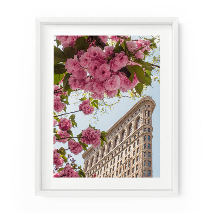 Flatiron Building Cherry Blossoms | Fine Art Photography Print