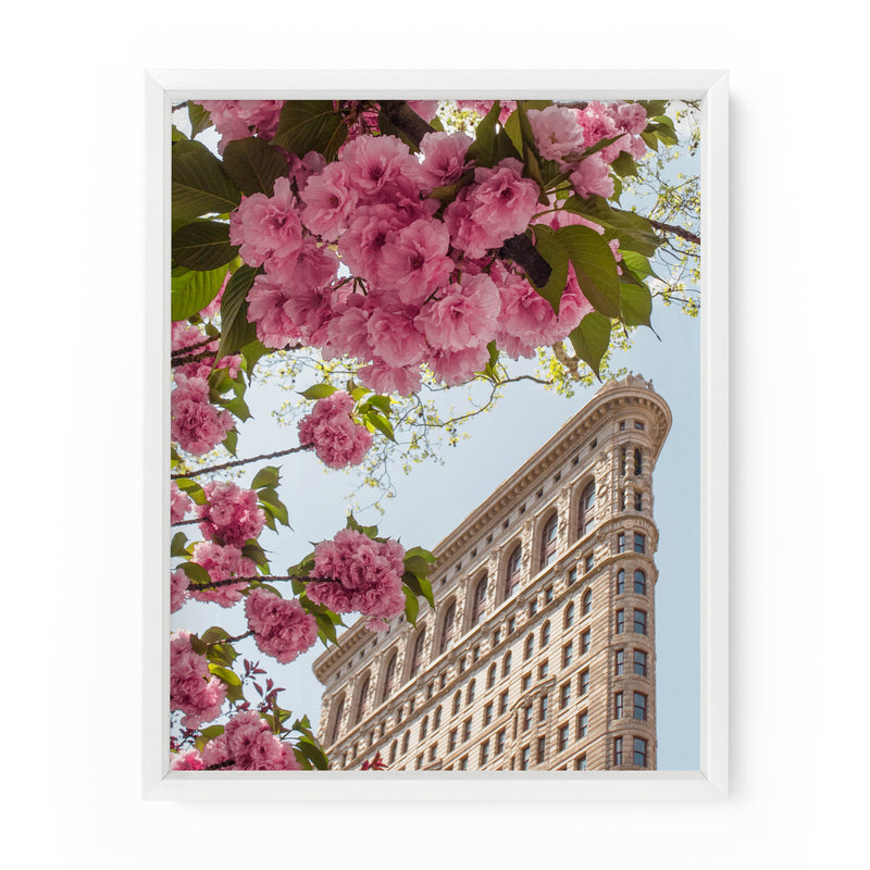 Flatiron Building Cherry Blossoms | Fine Art Photography Print