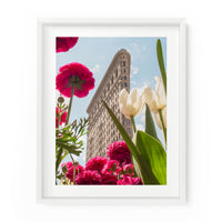 Flatiron Building Flowers | Fine Art Photography Print