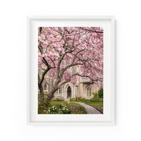 Grace Church Magnolias | Fine Art Photography Print