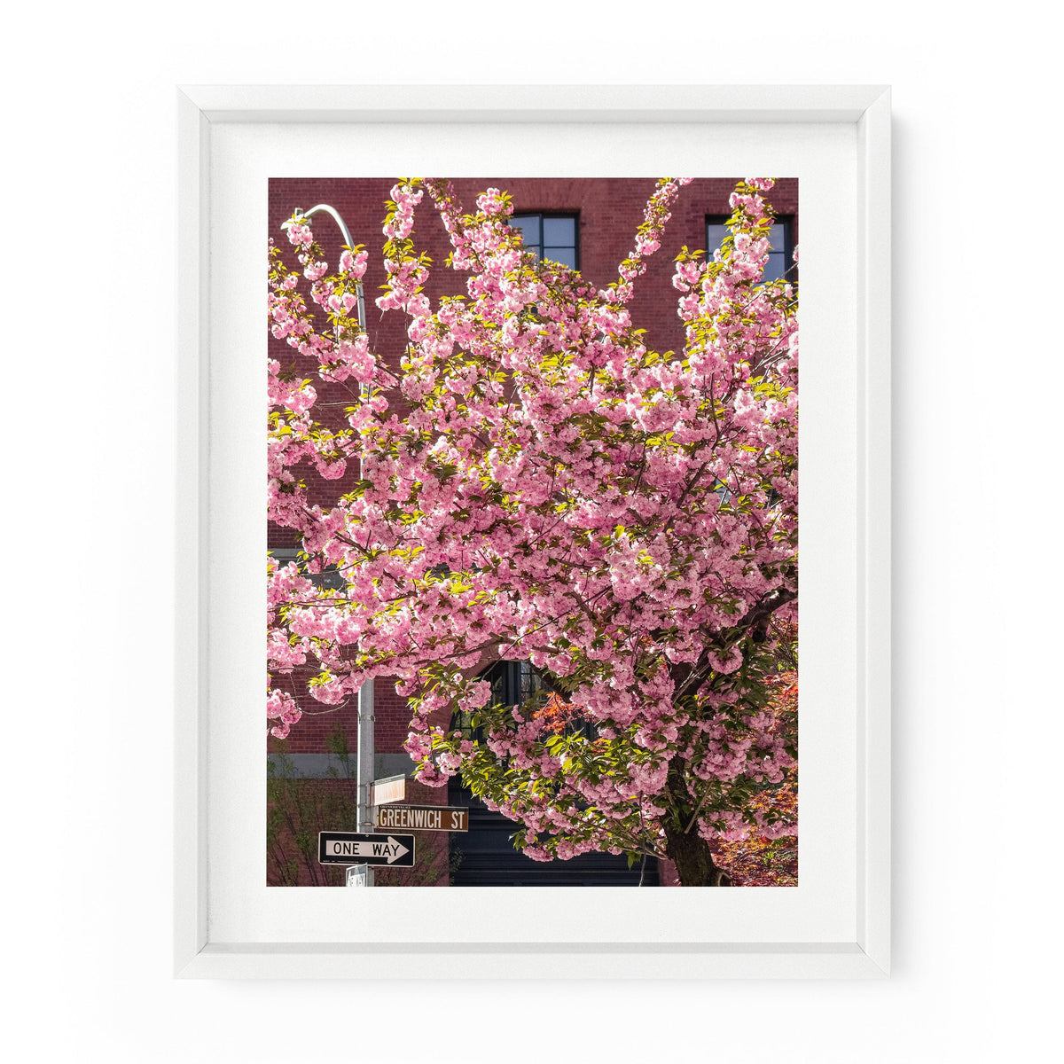 Greenwich Street Cherry Blossoms | Fine Art Photography Print