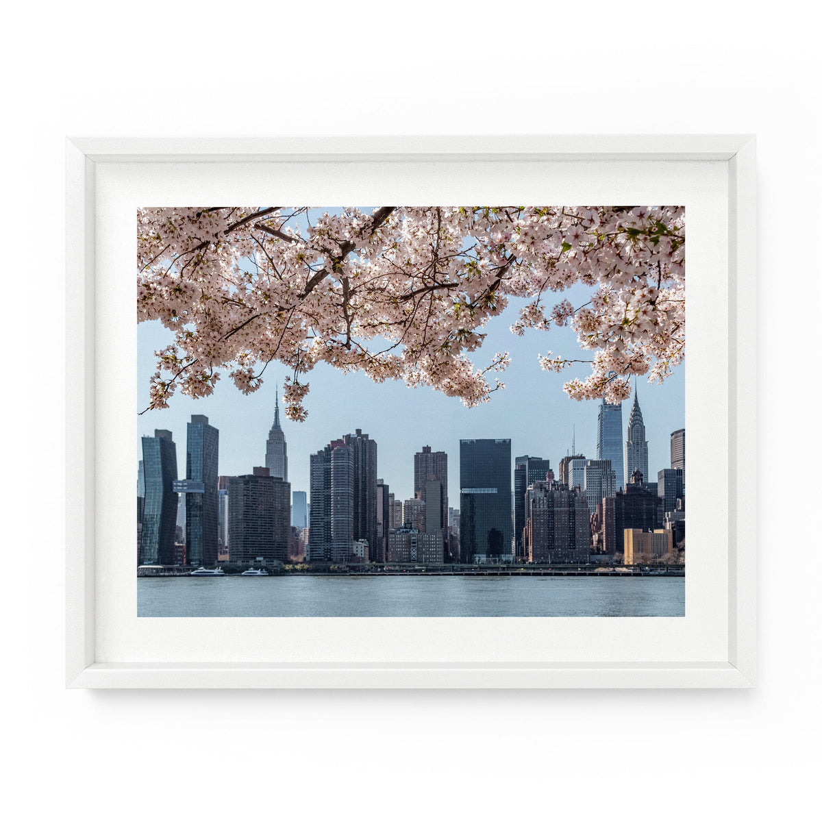 Cherry blossoms hang atop the iconic New York City skyline in the spring. NYC Art Photography Print.