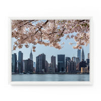 Cherry blossoms hang atop the iconic New York City skyline in the spring. NYC Art Photography Print.