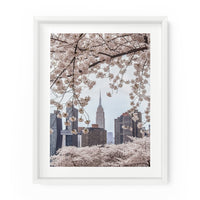 New York City Skyline Cherry Blossoms (Empire State Building) | Fine Art Photography Print