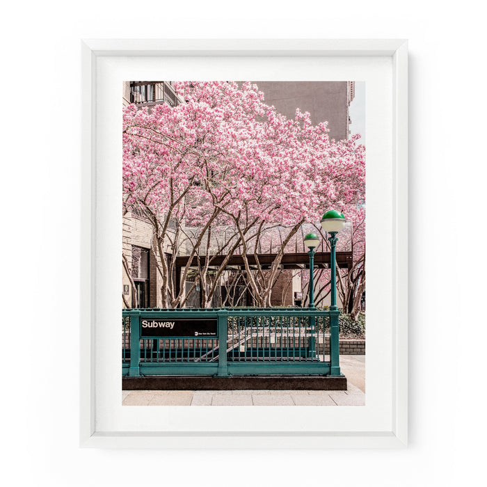 New York City Subway Magnolia Blossoms | Fine Art Photography Print