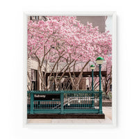 New York City Subway Magnolia Blossoms | Fine Art Photography Print