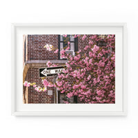 One Way Blossoms | Fine Art Photography Print