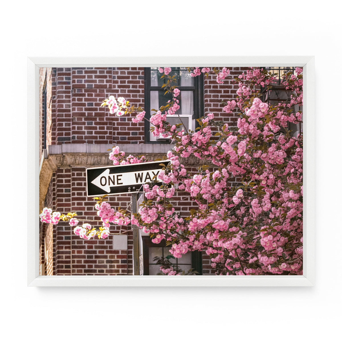 One Way Blossoms | Fine Art Photography Print