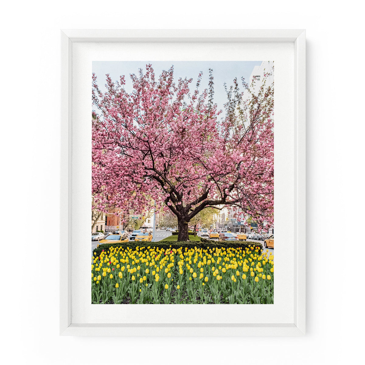 Park Avenue Blossoms | Fine Art Photography Print