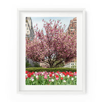 Park Avenue Spring Flowers | Fine Art Photography Print