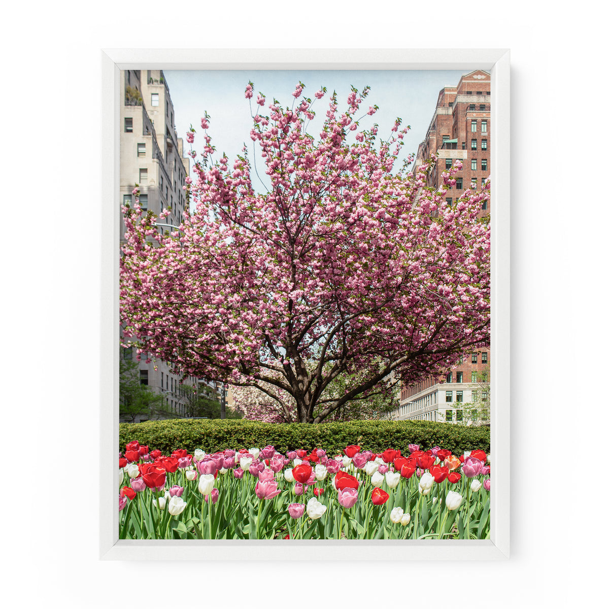 Park Avenue Spring Flowers | Fine Art Photography Print