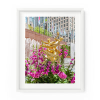 Rockefeller Center Foxglove Flowers | Fine Art Photography Print