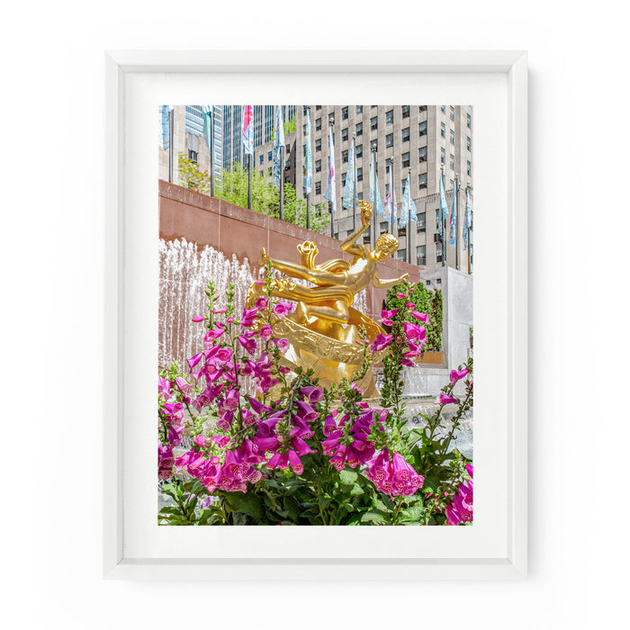 Rockefeller Center Foxglove Flowers | Fine Art Photography Print