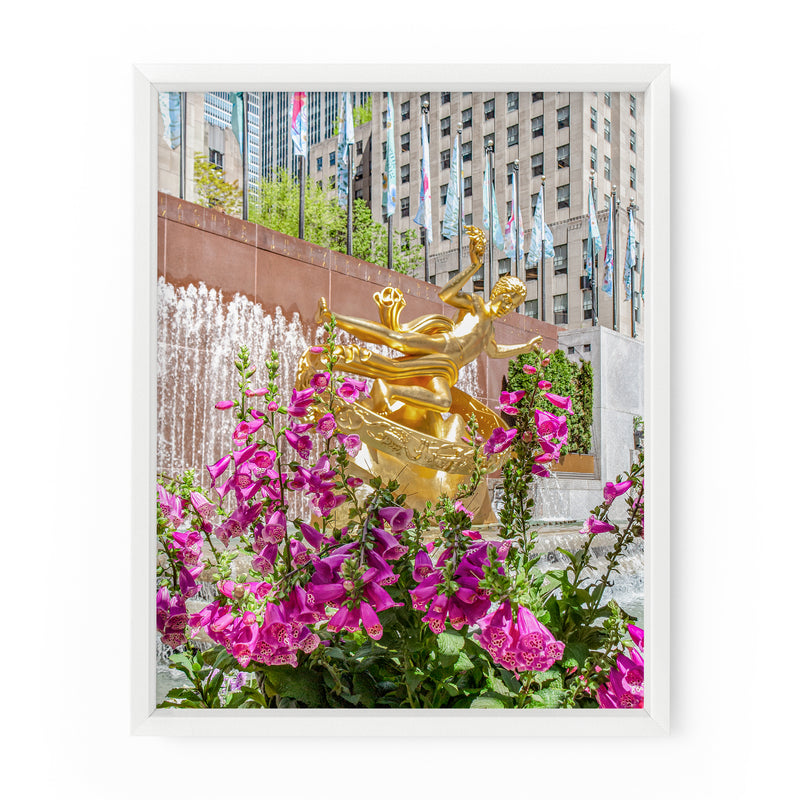 Rockefeller Center Foxglove Flowers | Fine Art Photography Print