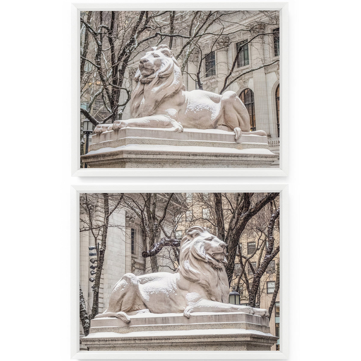 Snowy New York Public Library Lions (Set of 2) | Fine Art Photography Prints