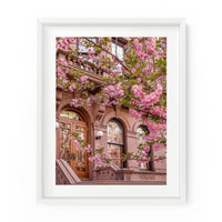 Upper West Side Brownstone Cherry Blossoms | Fine Art Photography Print