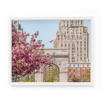 Washington Square Park Cherry Blossoms | Fine Art Photography Print