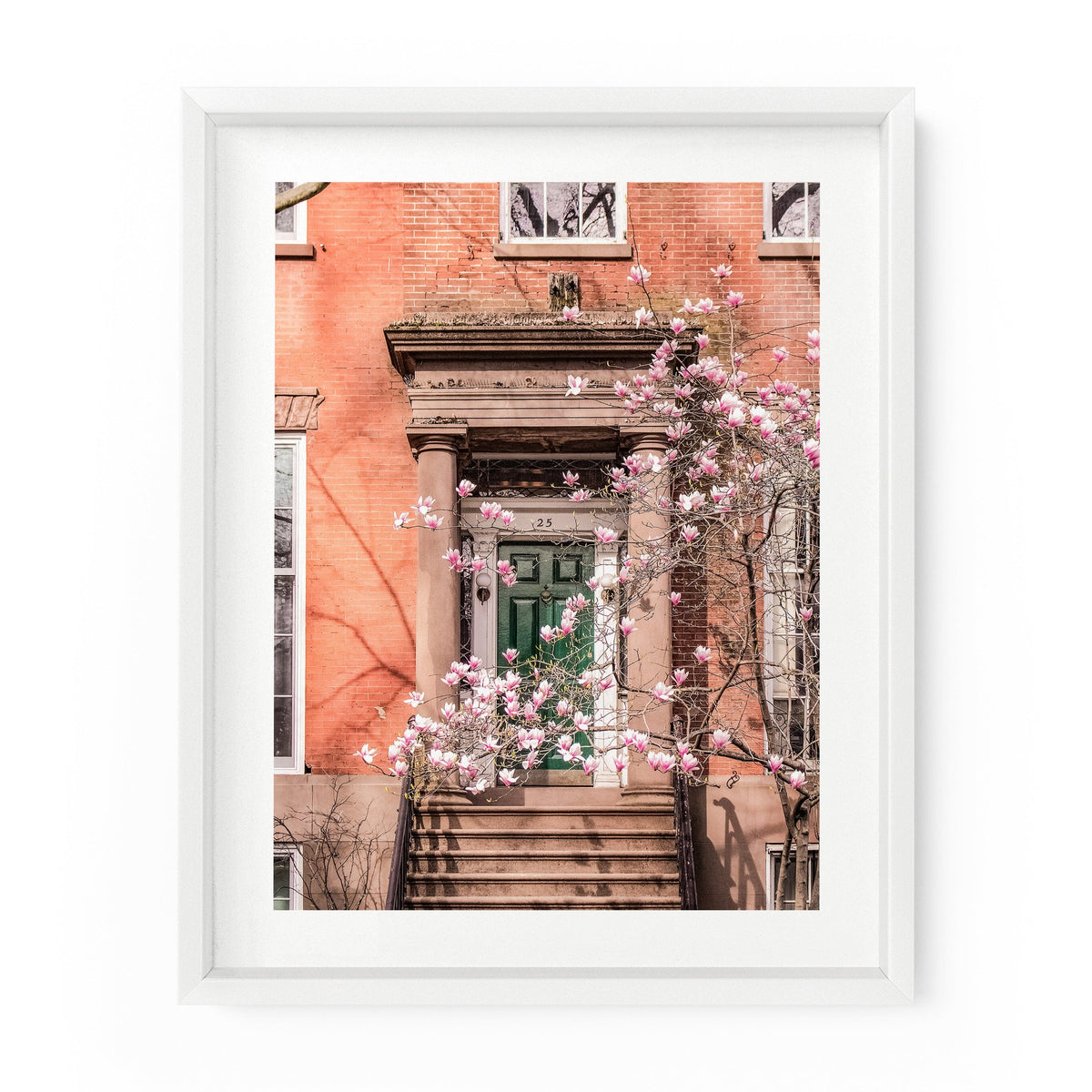 Washington Square Townhouse Magnolia Blossoms | Fine Art Photography Print