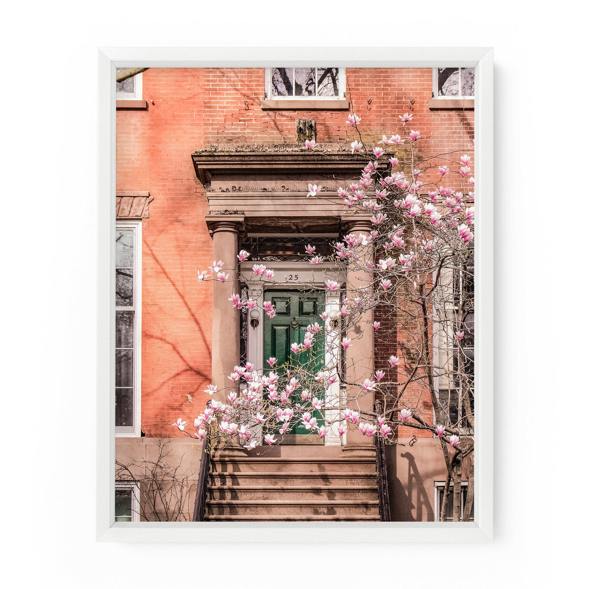 Washington Square Townhouse Magnolia Blossoms | Fine Art Photography Print