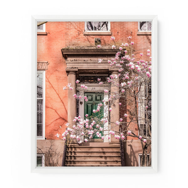 Washington Square Townhouse Magnolia Blossoms | Fine Art Photography Print