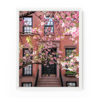 West Village Townhouse Cherry Blossoms | Fine Art Photography Print