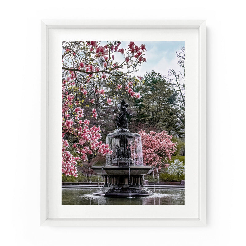 Bethesda Fountain Blossoms (Central Park) | Fine Art Print