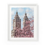 Central Park Cherry Blossoms | Fine Art Print